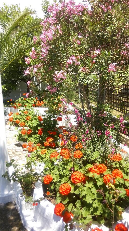 Gorgona Rooms Alikí Zewnętrze zdjęcie